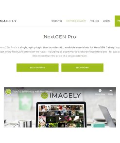 NextGEN Gallery Pro【图片摄影独立站销售管理插件】