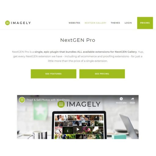 NextGEN Gallery Pro【图片摄影独立站销售管理插件】