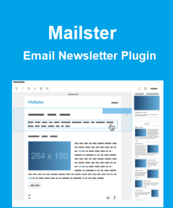Mailster – Email Newsletter Plugin for WordPress【独立站邮件订阅营销活动插件】