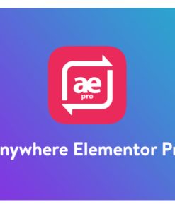Anywhere Elementor Pro【页面构建器插件】