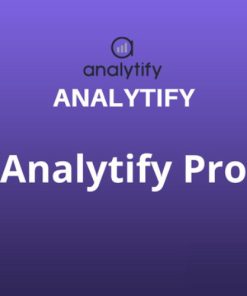 Analytify Pro【独立站网站访问统计分析插件】