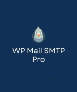 WP Mail SMTP Pro [Agency]【邮件管理插件】