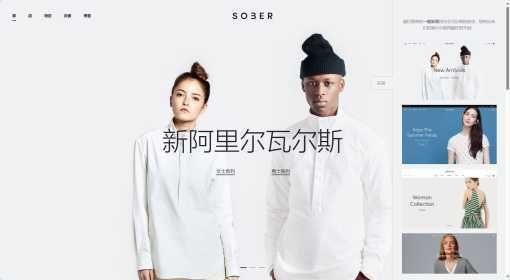 Sober v3.5.8 - WooCommerce WordPress Theme【时尚家居品类独立站主题】 - 图片 4