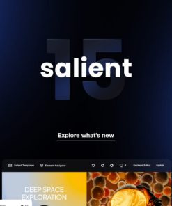 Salient | Creative Multipurpose & WooCommerce Theme【创意公司独立站主题模板】