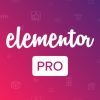 Elementor Pro v3.31.2 – #1 WordPress Page Builder Plugin【最好的独立站页面构建器插件】
