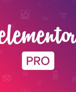 【可提供License Key】Elementor Pro v3.30.0 – #1 WordPress Page Builder Plugin【最好的独立站页面构建器插件】