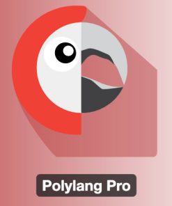 Polylang Pro【独立站多语言站点翻译插件】