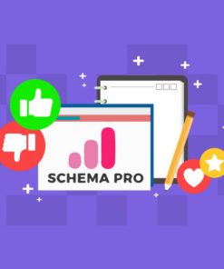 WP Schema Pro【独立站SEO搜索引擎标记schema插件】