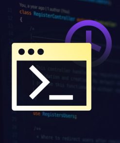 【可提供License Key】Scripts Organizer【独立站代码编辑插件】