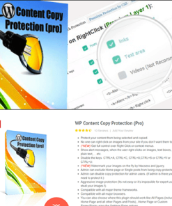 WP Content Copy Protection & No Right Click (PRO)【独立站内容防复制盗版采集插件】