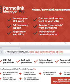Permalink Manager Pro【独立站永久链接静态链接优化插件】