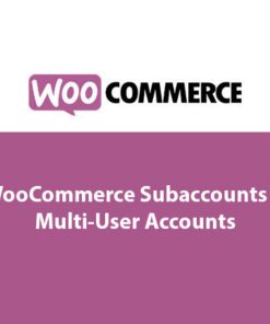 Subaccounts & Multi-User Accounts【独立站企业公司多用户多子账号管理插件】