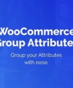 WooCommerce Group Attributes【独立站产品属性分类分组插件】