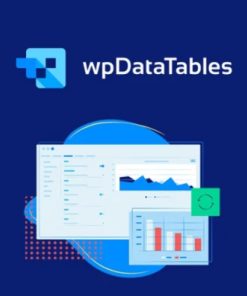 WP DataTables – Tables and Charts Manager for WordPress【独立站表格插件】