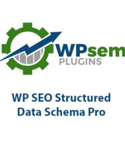 WP SEO Structured Data Schema Pro【独立站SEO结构化数据插件】