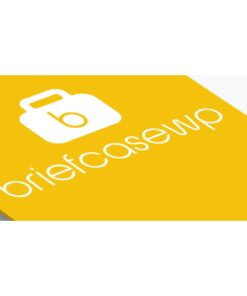 Briefcase Elementor Widgets【页面构建小工具套件】