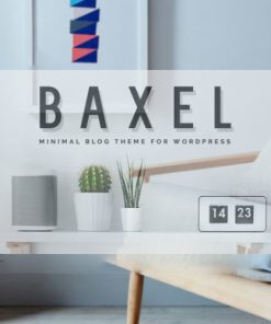 Baxel – Minimal Blog Theme for WordPress Theme【极简简约主题模板】