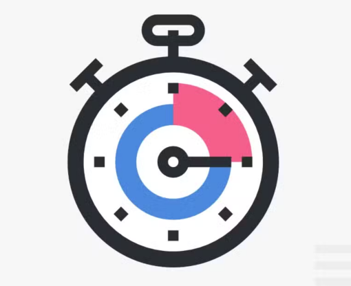 Perfmatters (v2.4.9) Lightweight WordPress Performance Plugin【优化加速插件】